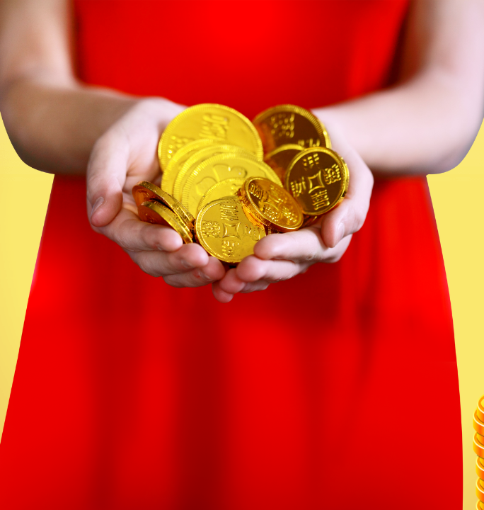 about NorrSoft Gold